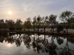 -东郊湿地公园