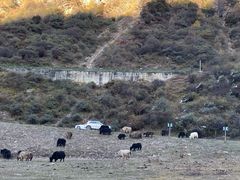 -四姑娘山阿巴郎·藏式花园餐厅