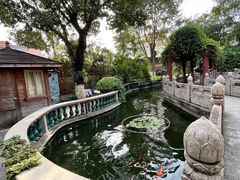 -碧江金楼