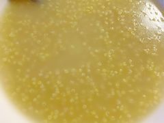 小米粥-宝瑞门钉肉饼店