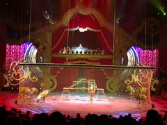 -珠海横琴长隆《卡卡虎奇遇记》