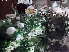 -广州白天鹅宾馆