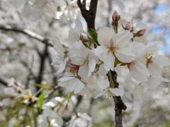 -苏州上方山国家森林公园