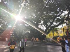 -桂林独秀峰王城景区