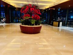 -深圳观澜格兰云天国际酒店