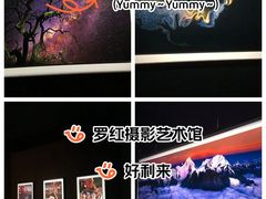 -罗红摄影艺术馆