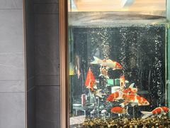 -浩运海鲜·16年专注青岛菜(石老人店)