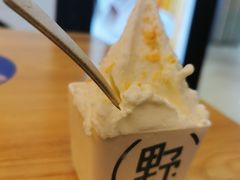 -野人先生现做冰淇淋(北京环宇荟店)