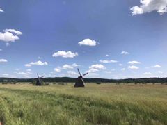 -塞罕坝国家级自然保护区