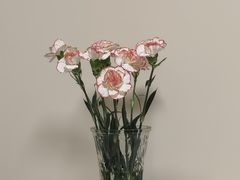 -LEB³勒布立方·蛋糕