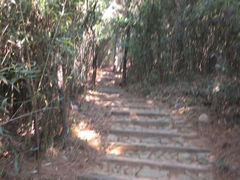android_upload_pic-太湖渔洋山