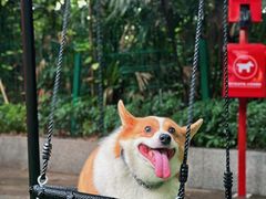 -白云宾馆·白云宴餐厅