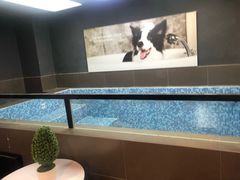 -宠宠熊宠物美容(星湖街店)