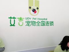 -艾吉宠物医院·疑难杂症转诊中心·猫友好(碧江路院)