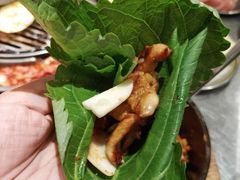 -猪掌柜韩国烤肉(六折店)