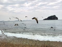 -棒棰岛宾馆景区