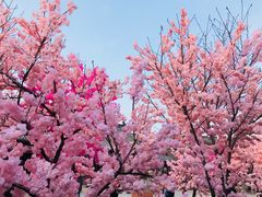 -鼓楼社区体育中心游泳馆