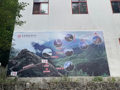 -朱雀国家森林公园