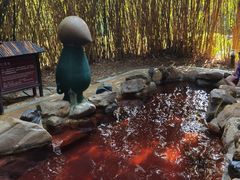 -森波拉火山温泉