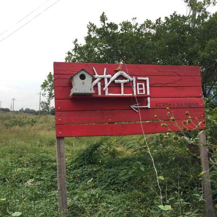 七都花空间-"[薄荷]环境:在七都.附近有停车场.很."-大众点评移动版