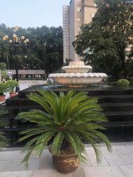 -河南中医药大学第一附属医院-医疗整形