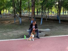 -黛秀湖公园