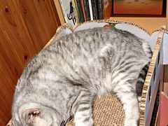 -隅cafe(傅厚岗店)