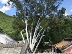 -潭柘寺景区