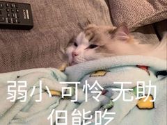 -田记餐馆(富国街店)