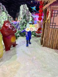 -圣名游乐城冰雪大世界