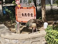 -保定市动物园