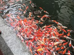 -番禺宾馆丽苑厅