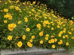 -南通洲际绿博园