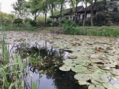 -西溪国家湿地公园