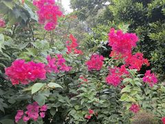 -桃花涧
