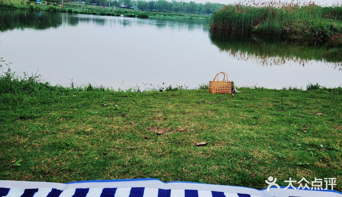 春天怎可不出去野餐煮茶呢？