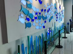 -新荟城(望京店)