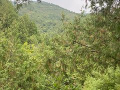 -北京十三陵国家森林公园蟒山景区