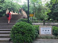 -晓港公园