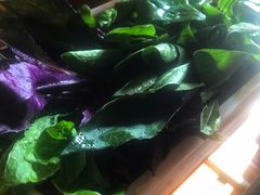 山茅野菜组合-滇釜火锅·能喝汤的火锅(车公庄店)