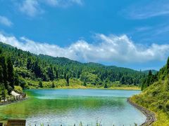 -武陵山森林公园