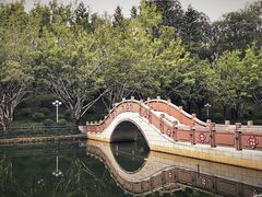 -深圳龙潭公园