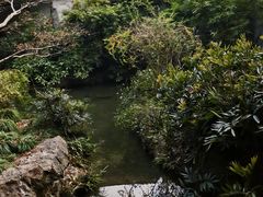 -中国茶叶博物馆(双峰馆区)