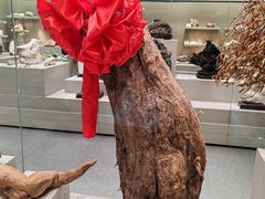 -北京中医药大学-中医药博物馆