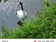 -杭州野生动物世界