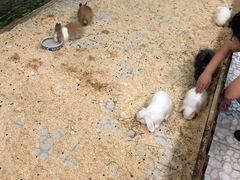 -上海大自然野生昆虫馆(东方明珠·爬宠昆虫探索中心)