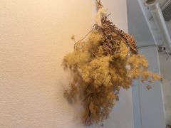 -Ginko银子(青龙街店)