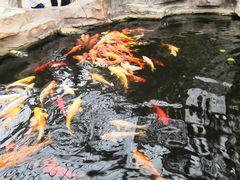-龙达温泉生态城