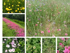 -盘龙城国家考古遗址公园