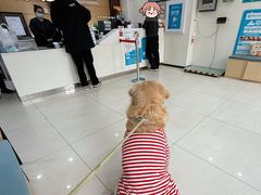 -美联众合动物医院·24h京西诊疗中心